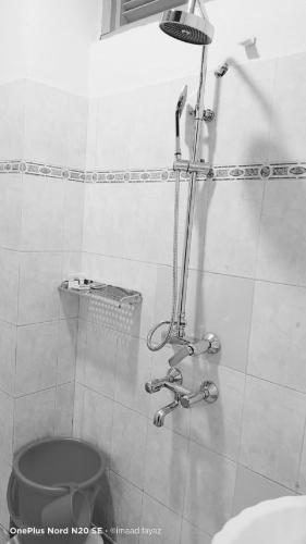 a bathroom with a shower and a toilet in it at Hotel New Mamta in Srinagar