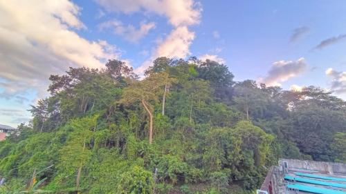 een heuvel met bomen erop bij Mountain View Hostel - Krabi Airport near Wat ThamSuea in Krabi town