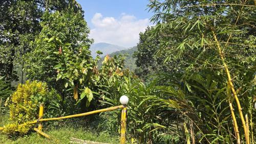 Naturlandschaft in der Nähe des Ferienhauses