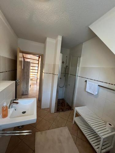 a bathroom with a sink and a shower at Apartmenthaus Eldena Am Teich in Greifswald
