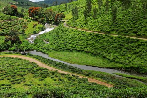 Landskap semula jadi dekat dengan resort