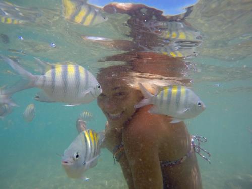 a woman underwater with fish in the water at Pousada Aroeira Eco in Morro de São Paulo