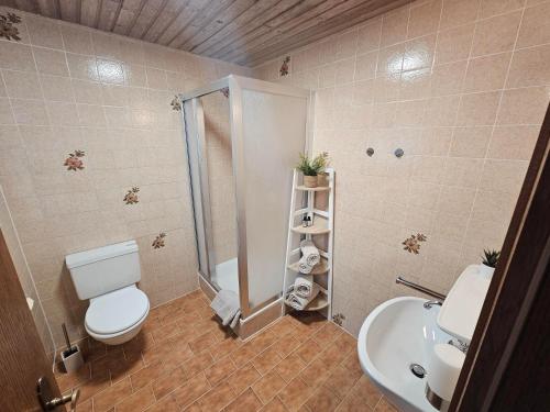 un bagno con wc, doccia e lavandino di Pension Panorama Warth a Lechleiten