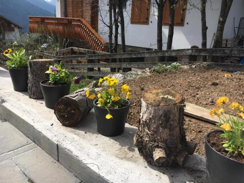 a row of pots of flowers in a garden at Garni Enrosadira in Vigo di Fassa