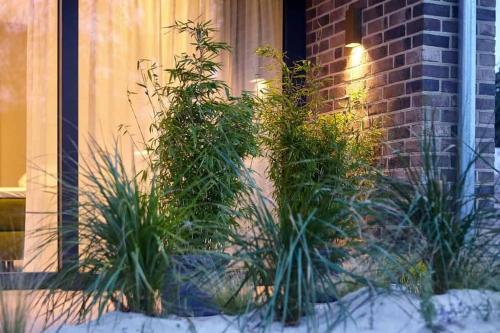 een groep planten voor een gebouw bij Die-perfekte-Ferienvilla in Butjadingen