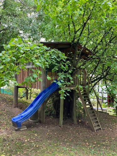 un parco giochi con scivolo blu accanto a un albero di Haus Nr. 9 a Ruppichteroth