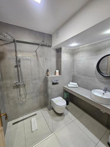un bagno con doccia, WC e lavandino di Hotel Edelweiss a Mediaş