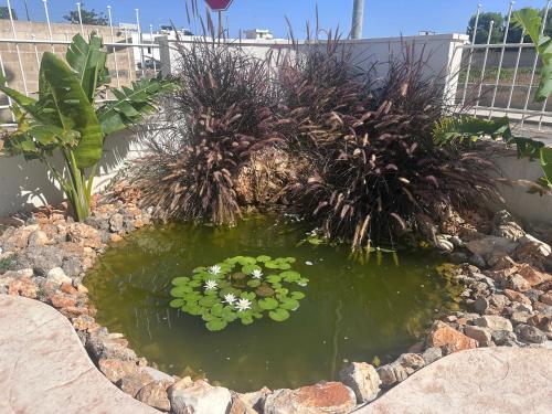 Afbeelding uit fotogalerij van Relais Dolce Vita in Porto Cesareo