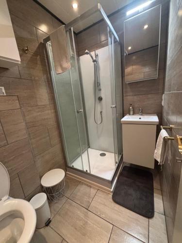 a bathroom with a shower and a toilet at Gästezimmer Schwaz Panorama in Schwaz