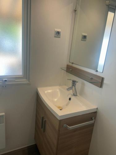 a bathroom with a sink and a mirror at GRS Mobil Home in Onzain