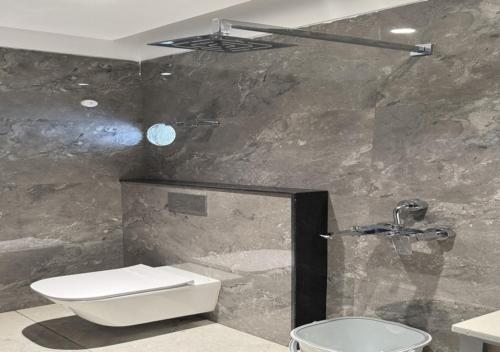 a bathroom with a sink and a toilet and a shower at Hotel Royal Plaza in Phulabāni