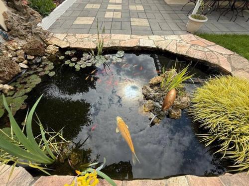 einen Koi-Teich mit einer Brücke im Garten in der Unterkunft Perfect cocoon for a romantic stay in La Celle-sous-Gouzon