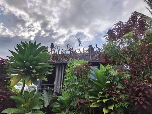 Vườn quanh Rugo haus