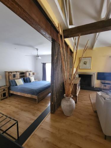 a bedroom with a bed and a vase with a plant at Apricot Gardens Guesthouse in Gordonʼs Bay