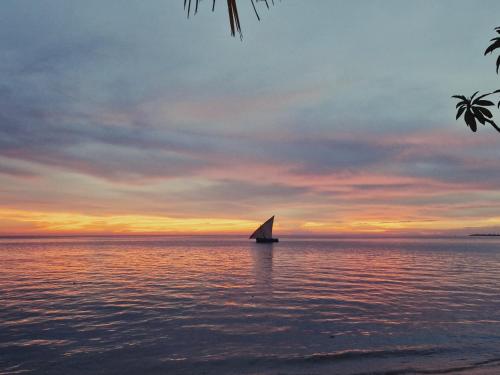 Natuurlandschap vlak bij het hotel
