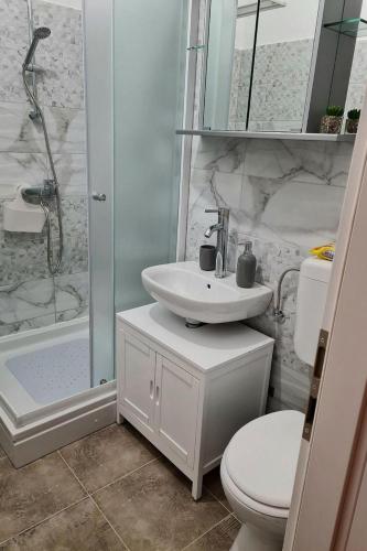 a bathroom with a sink and a toilet and a shower at Villa Kunta by Villas Guide in Gornja Jagodnja