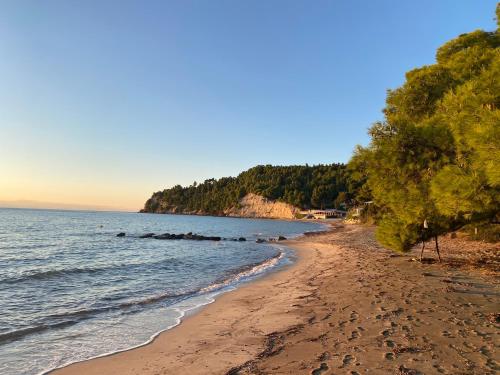 Naturlandskabet i nærheden af villaen