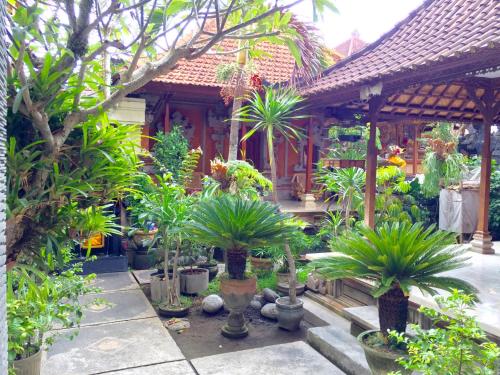 a garden with palm trees and plants in front of a house at Aurora House in Ubud