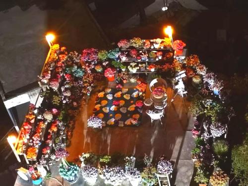 an overhead view of a display of flowers and plants at 空中花园国际民宿 贵阳火车站店 近甲秀楼 黔灵山公园 花果园白宫 二七路小吃街 in Guiyang