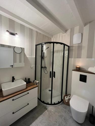 Et badeværelse på Dom Przy Lesie Zielonowo