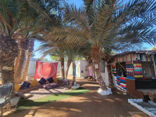 un resort con palme e un negozio con palme di Badya Camp بادية كامب a Dahab