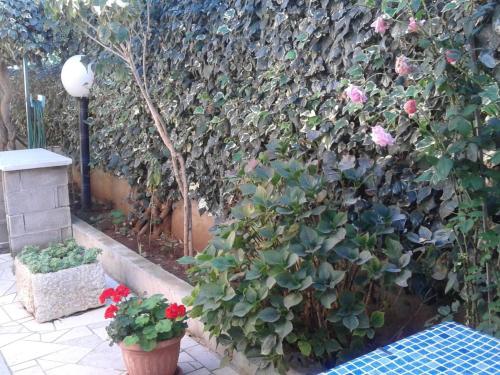 Apartment Arijana1 mit privater Terrasse by Interhome
