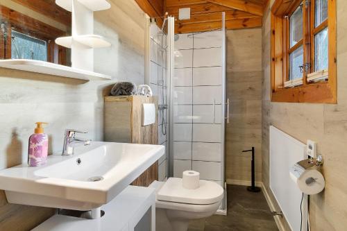 Et badeværelse på Twistesee Ferienhaus 110