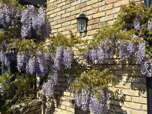 Billede fra billedgalleriet på L'aiguade 4 i Hames-Boucres