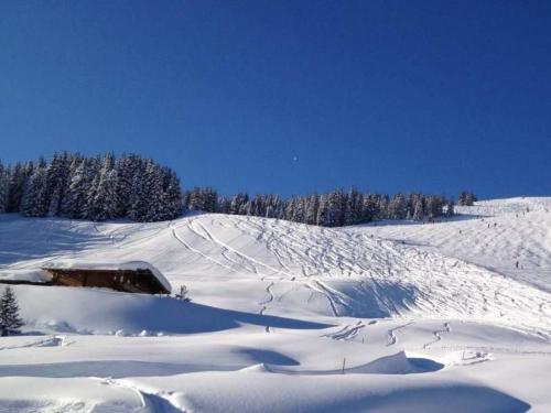 Holiday Home Wallegg-Lodge in Saalbach-Hinterglemm by Interhome