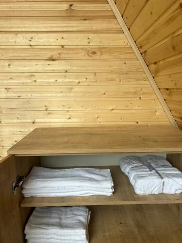 a sauna with two towels on a wooden wall at smile cottage in Borjomi