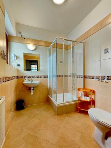 a bathroom with a shower and a sink and a toilet at Ośrodek Wypoczynkowy Baca in Poronin