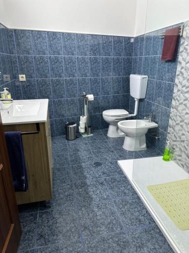 een badkamer met toilet en wastafel bij Boa Passagem in Peso da Régua