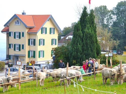 a herd of sheep in a field near a house at Apartment Rätia by Interhome in Wolfhalden 