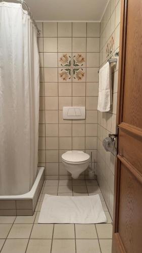 a small bathroom with a toilet and a shower at Halden Hills in Bludenz