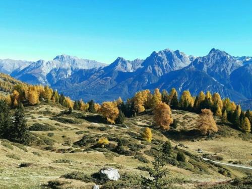 a mountain valley with trees and mountains in the background at Apartment cajos-ftan by Interhome in Ftan