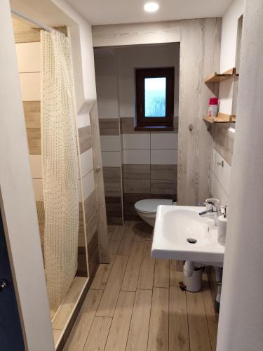 a bathroom with a sink and a shower and a toilet at Apartmán 38 in Opolany
