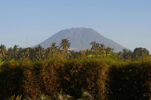 a mountain in the distance with trees in the foreground at Jasri Bay Hideaway in Jasri