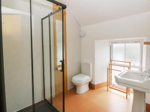 a bathroom with a toilet and a sink at Fronglyd in Cardigan