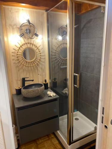 a bathroom with a sink and a shower with mirrors at Studio Belle Neige in Bernex