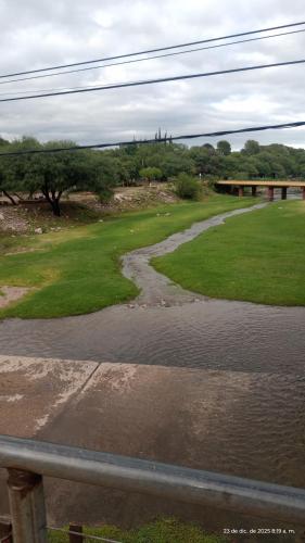 Naturlandskabet i nærheden af lejligheden