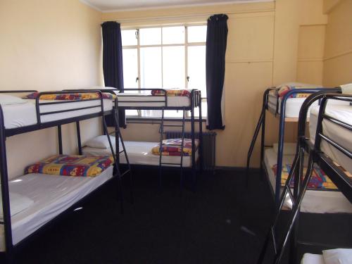 a group of bunk beds in a room with a window at Archies Bunker Affordable Accommodation in Napier