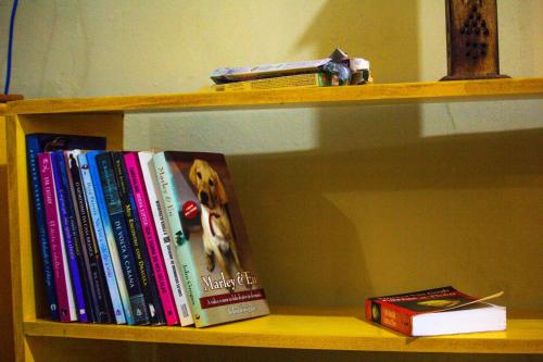 De bibliotheek in het vakantiehuis