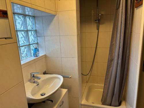 een kleine badkamer met een wastafel en een douche bij Ferienwohnung Marienhof OG in Seelbach
