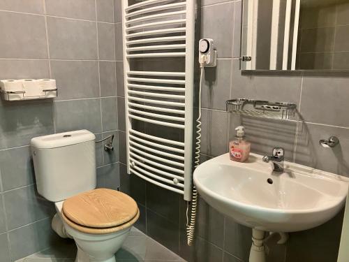 een badkamer met toilet en wastafel bij Apartmán Ramzová - naRamzovou in Ostružná