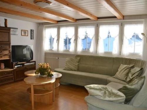 Gallery image of Apartment Breiten by Interhome in Brunnadern