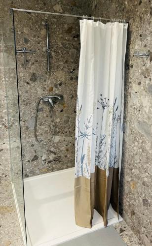 a shower with a shower curtain in a bathroom at Ubytování Jitřenka in Černá Voda
