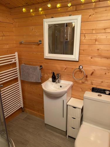 een badkamer met een wastafel, een toilet en een spiegel bij Glenhill Lodge in Roybridge