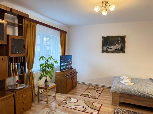 Et tv og/eller underholdning på Casa Crisan