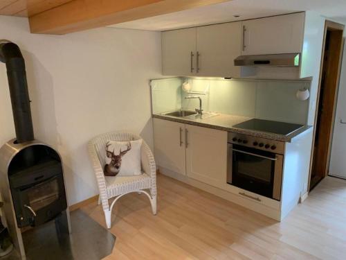 Apartment Chalet Fluehbluemli - Eigerview by Interhome