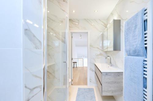 a bathroom with a shower and a sink at Toison d'Or House 4 in Brussels